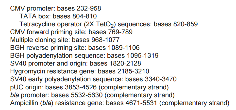 pcDNA5-TO特征位点
